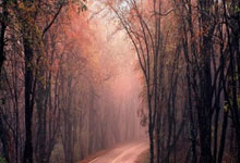 东升国际官网：[乒乓球]李武军：WTT出台新举措保障了运动员利益.