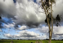 东升国际官网：[德甲]第6轮 波鸿1-3沃尔夫斯堡.