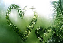 尔滨,有惊喜丨中国年遇上亚冬会 “尔滨”华丽变身“国际滨”中国之声.