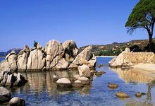 暖心!C罗与病重小球迷见面,助小球迷实现梦想.